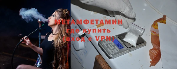 прущие грибы Михайловск