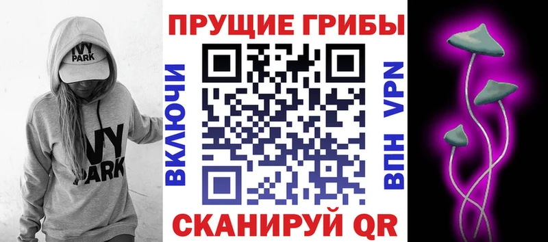 мега как войти  где можно купить наркотик  сайты даркнета наркотические препараты  Галлюциногенные грибы мицелий  Кочубеевское 